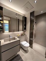 Havelock Road (D1), Apartment #462850091